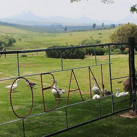 Oban Historical Guest Farm Villa Van Reenen Bagian luar foto