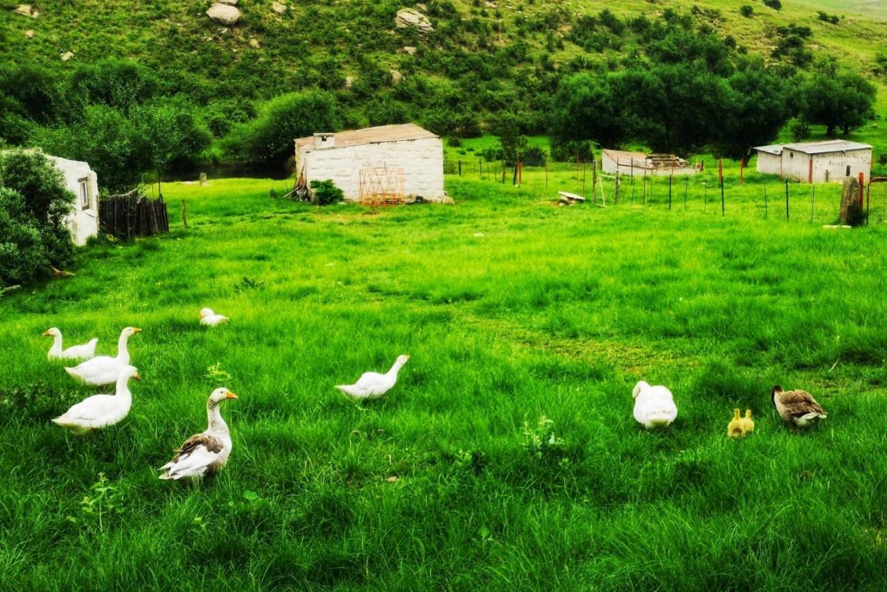 Oban Historical Guest Farm Villa Van Reenen Bagian luar foto